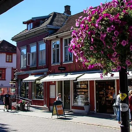 Dom wakacyjny Solrikt Og Sentralt. Ta Med Bade To Og Firbeinte Lillehammer