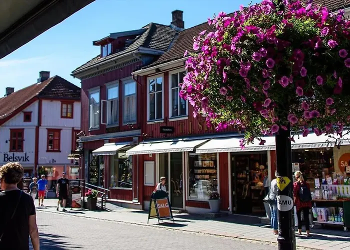 Dom wakacyjny Solrikt Og Sentralt. Ta Med Bade To Og Firbeinte Lillehammer